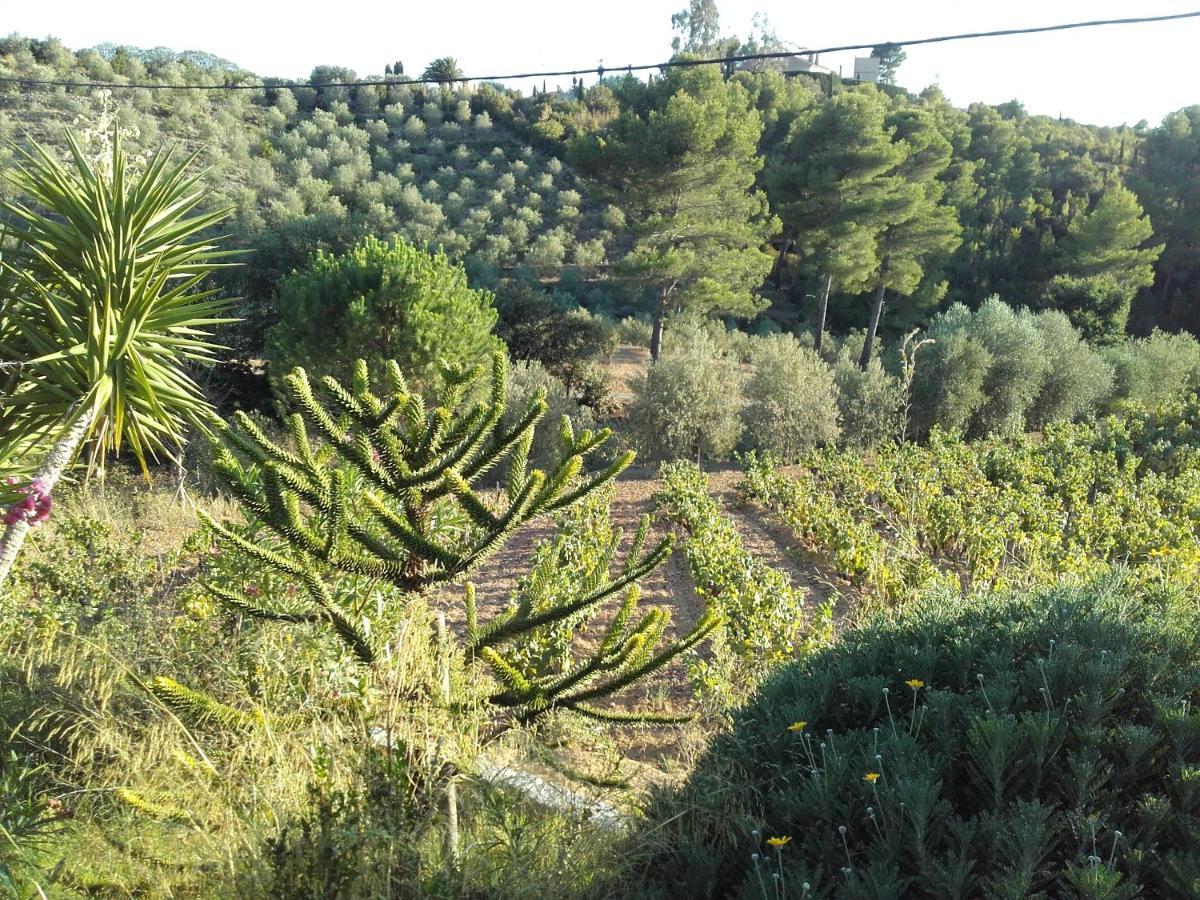 La Bastide De L'Oliveraie Le Castellet  Esterno foto