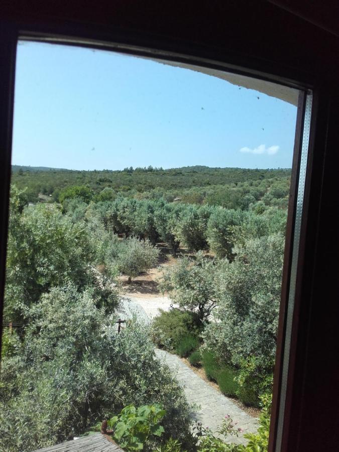 La Bastide De L'Oliveraie Le Castellet  Esterno foto