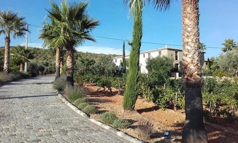 La Bastide De L'Oliveraie Le Castellet  Esterno foto